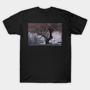 Le Conquet - L'arbre sur le port T-Shirt